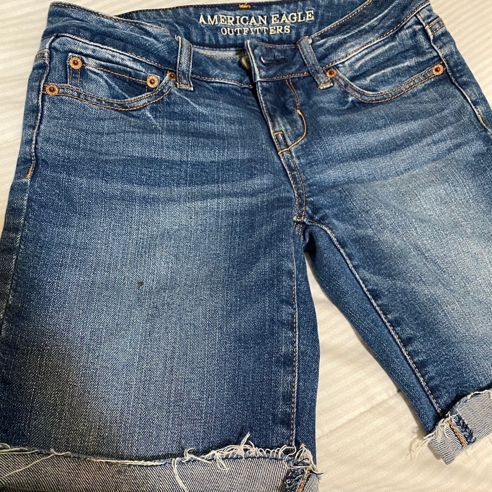 American Eagle Outfitters Denim Cut- Off Shorts
